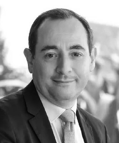 Conseil d’administration de l'AFDU - Arnaud Cursente