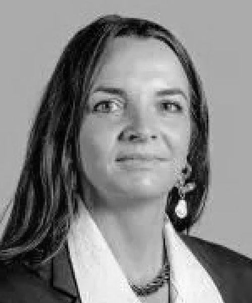 Conseil d’administration de l'AFDU - Camille Gicquel